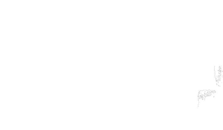 Punks For Presents